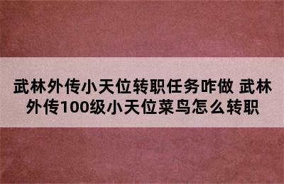 武林外传小天位转职任务咋做 武林外传100级小天位菜鸟怎么转职